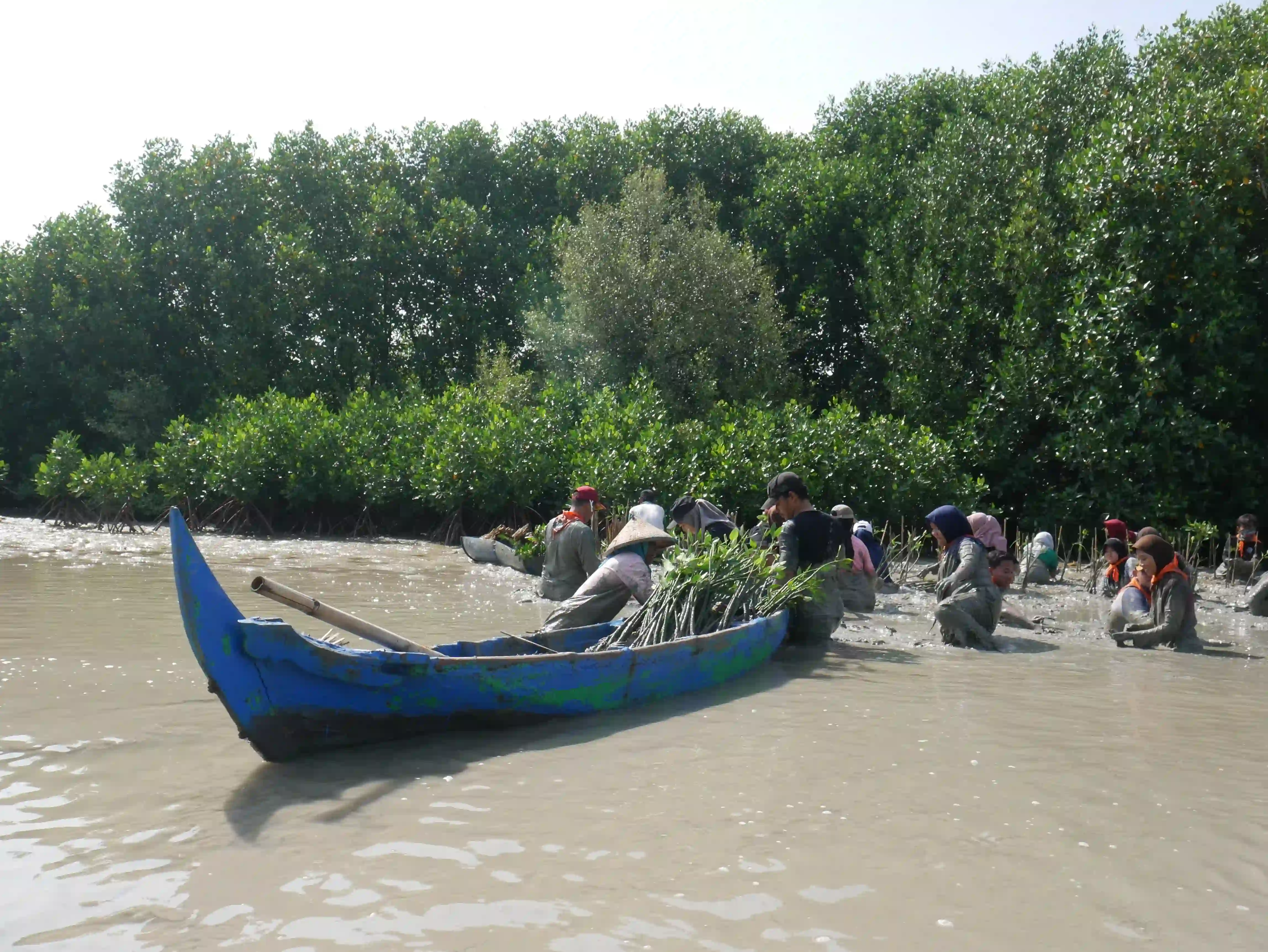 Sedekah Pohon LindungiHutan